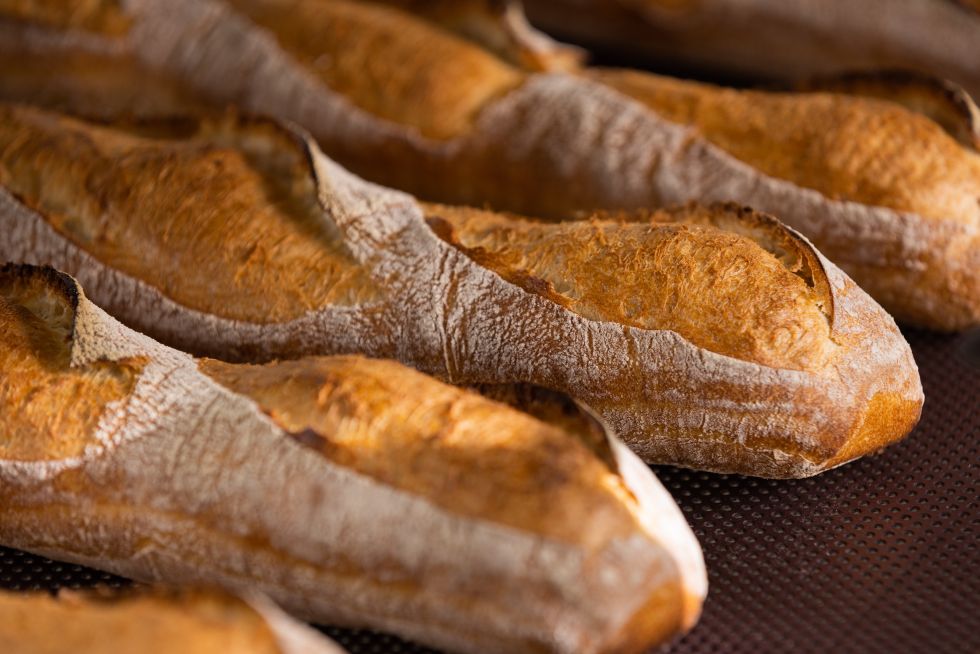 RONDO Brot Nahansicht