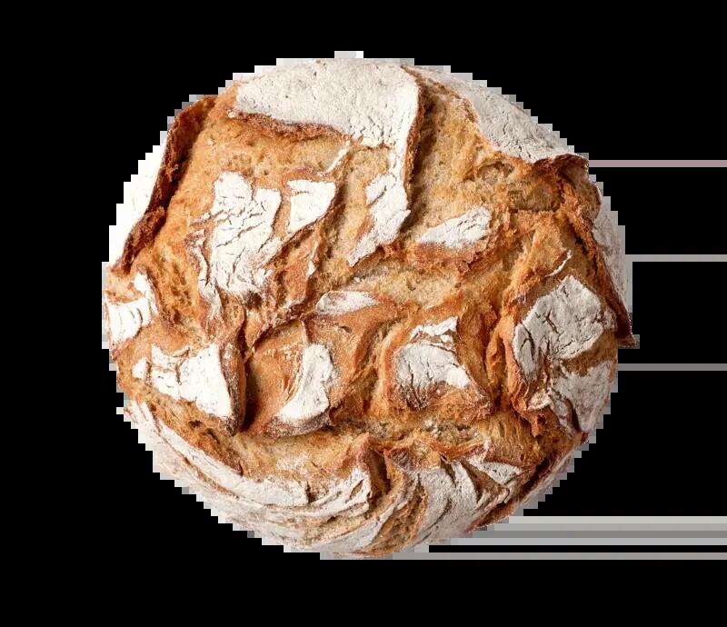 RONDO ¦ BrotStar 3000